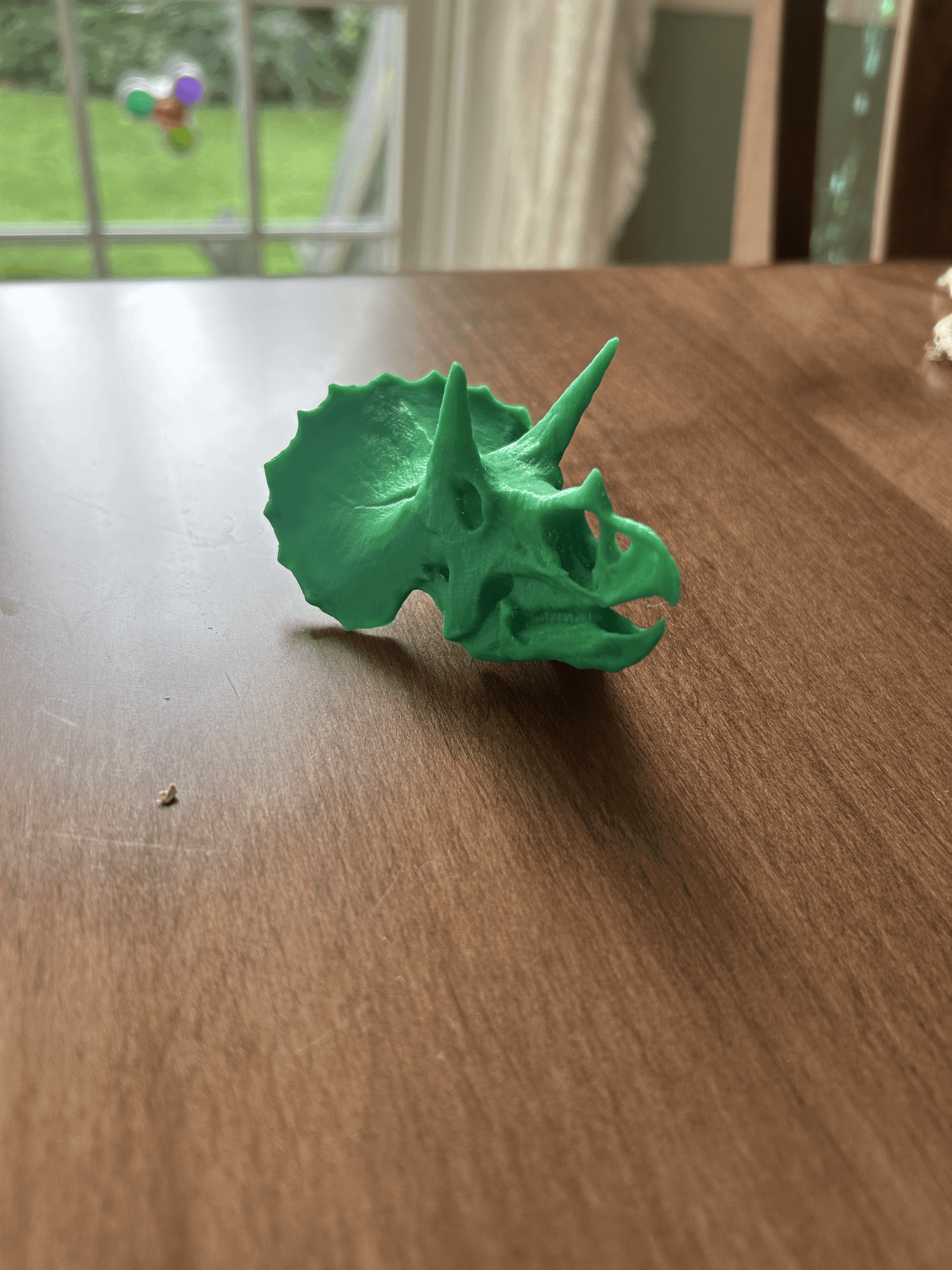 Triceratops 
