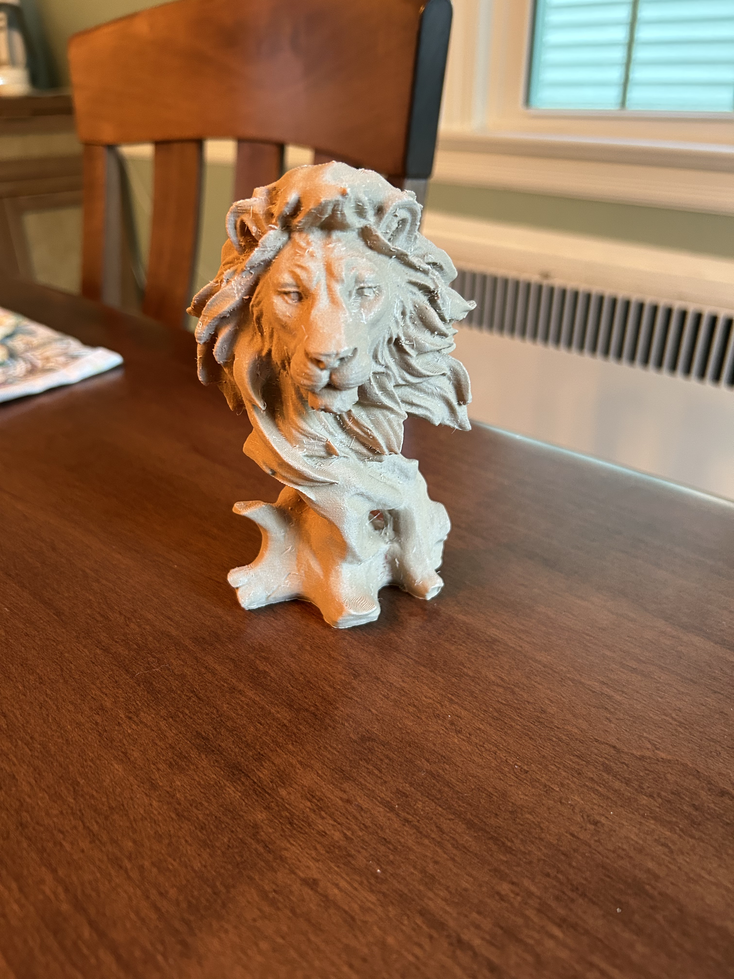 Just a cool lion